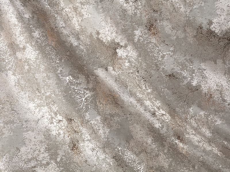 silver-birch